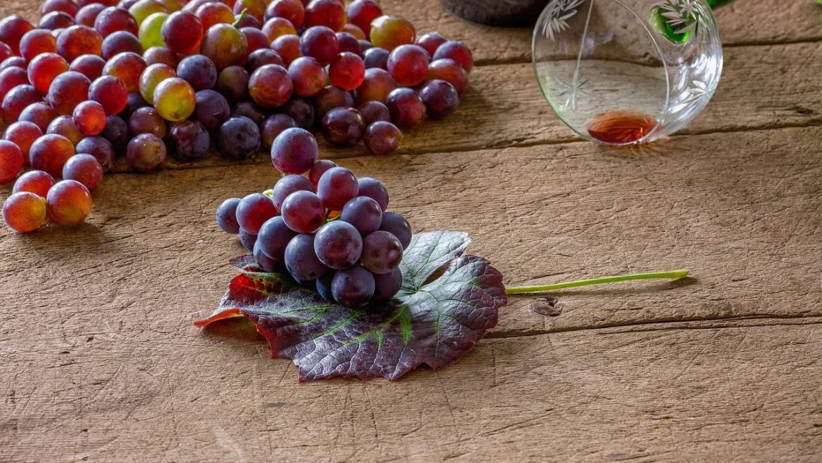 Italy: harvest 2021