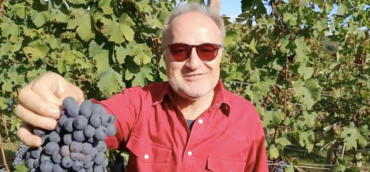 La vendemmia 2021 a Barolo con Carlo Miravalle