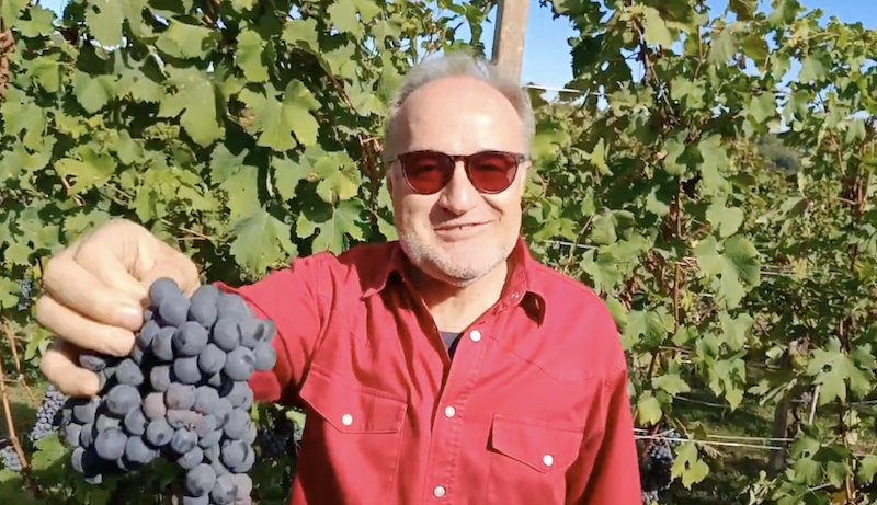 The 2021 harvest in Barolo with Carlo Miravalle