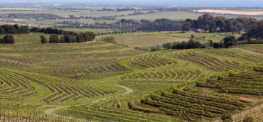 Harvest 2024: Australia, New Zealand, Chile and Argentina