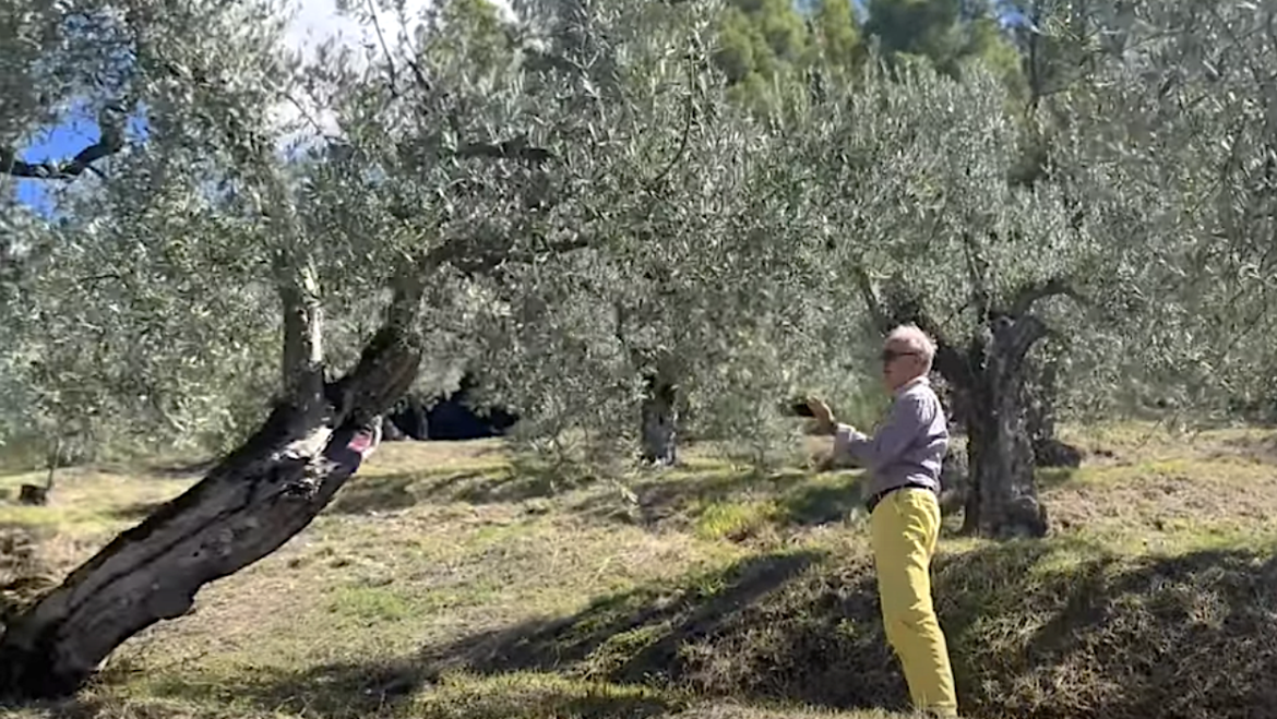 Carlo Miravalle in Umbria among Olive Trees and Vineyards