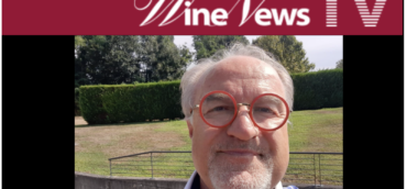 Harvest 2024: the WineNews TV interview with Carlo Miravalle